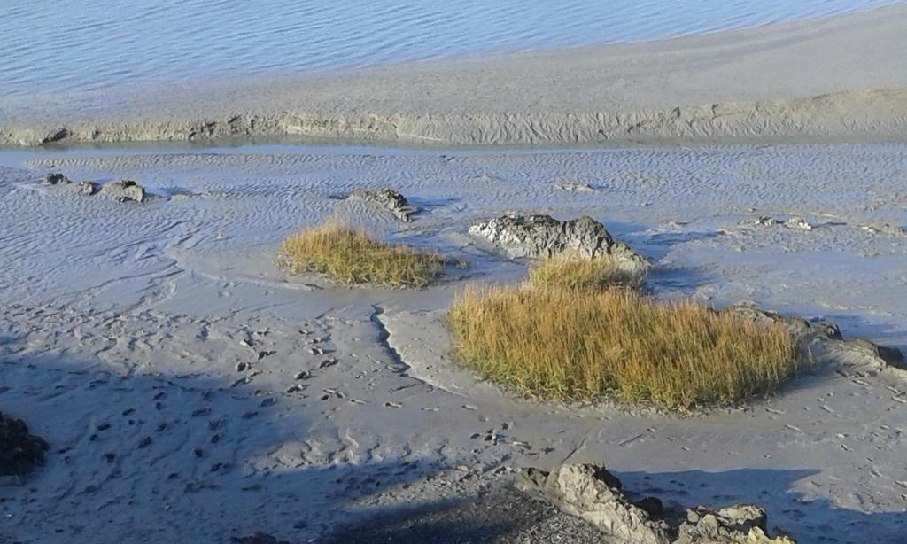 Les Hirondelles De La Baie Vains Exterior foto